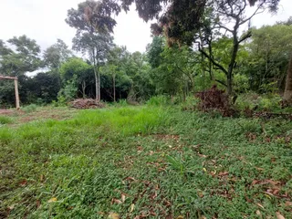 Área rural, foto 1