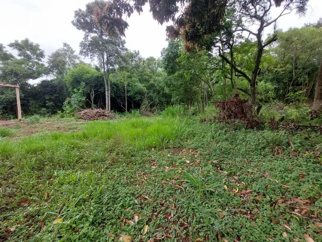 Área rural