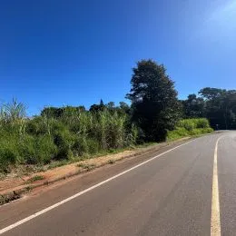 Vista de uma estrada rural com vegetação densa sob um céu azul.