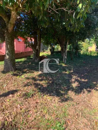 Terreno, foto 2