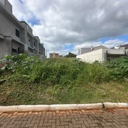 Vista externa com vegetação densa em uma área de propriedade.