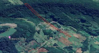 Vista aérea de uma área com vegetação densa na região.