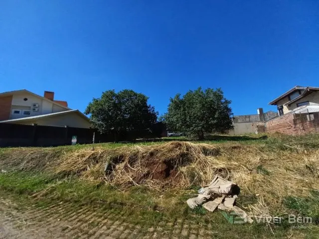 Terreno, foto 3