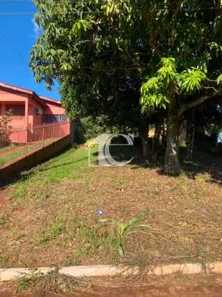 Terreno, foto 4