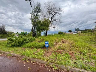 Terreno, foto 4