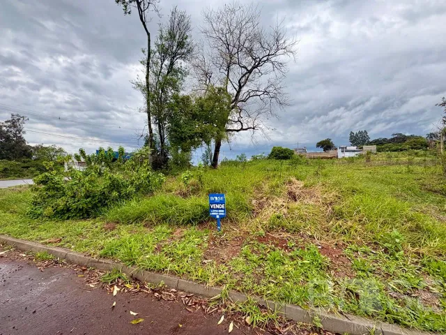Terreno, foto 4