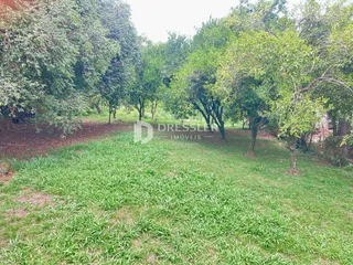 Terreno, foto 5