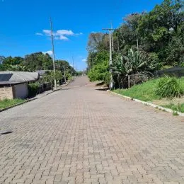 Vista de uma rua pavimentada com vegetação ao fundo.