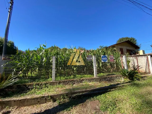 Terreno, foto 2