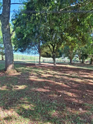 Área rural com 3 dormitórios, foto 8