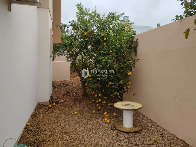 Vista externa de um jardim com uma árvore e um muro em Lajeado, Brasil.