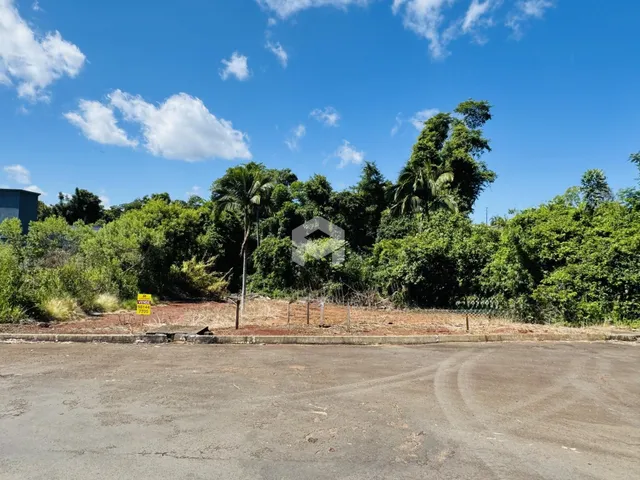 Vista da propriedade com vegetação densa ao fundo.