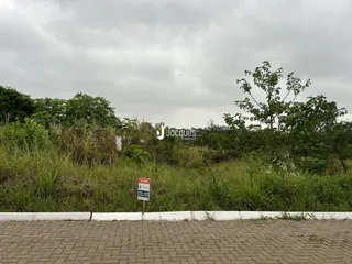 Vista da propriedade com vegetação densa ao fundo.