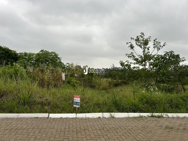 Vista da propriedade com vegetação densa ao fundo.