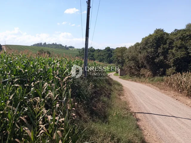 Área rural, foto 3
