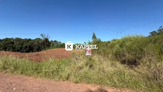 Paisagem de campo com vegetação alta e terra no primeiro plano.