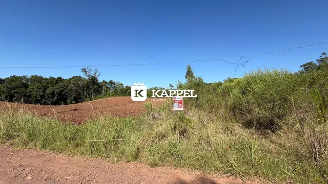Paisagem de campo com vegetação alta e terra no primeiro plano.