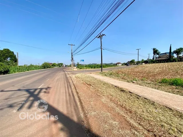 Vista de uma estrada rural com vegetação ao longo de uma estrada.