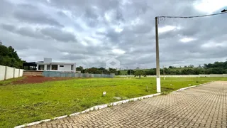 Terreno, foto 12
