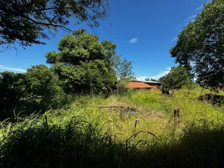 Vista externa de uma área com vegetação alta e árvores no fundo.