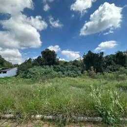 Uma paisagem externa com vegetação densa sob um céu parcialmente nublado.
