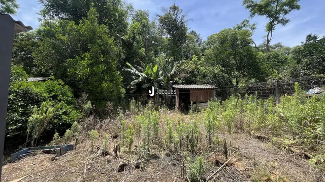 Casa com 4 dormitórios, foto 3