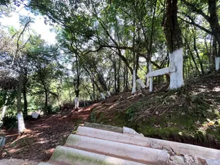 Casa com 3 dormitórios, foto 19