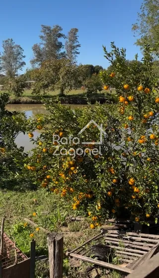 Área rural, foto 12