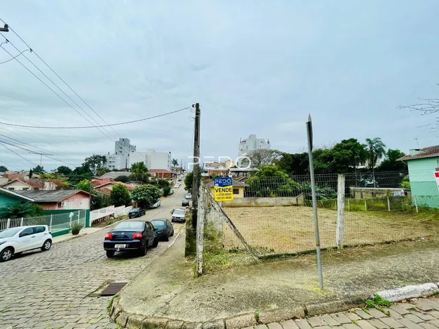 Terreno, foto 2