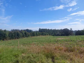 Área rural, foto 2