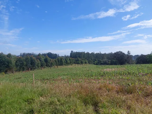 Área rural, foto 2