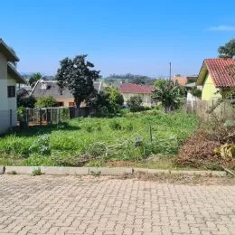 Vista externa mostrando vegetação alta e piso de tijolos no terreno.