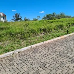 Vista de um terreno com vegetação alta e uma área pavimentada.