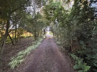 Área rural com 3 dormitórios, foto 3