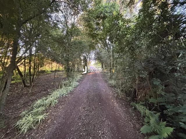 Área rural com 3 dormitórios, foto 3