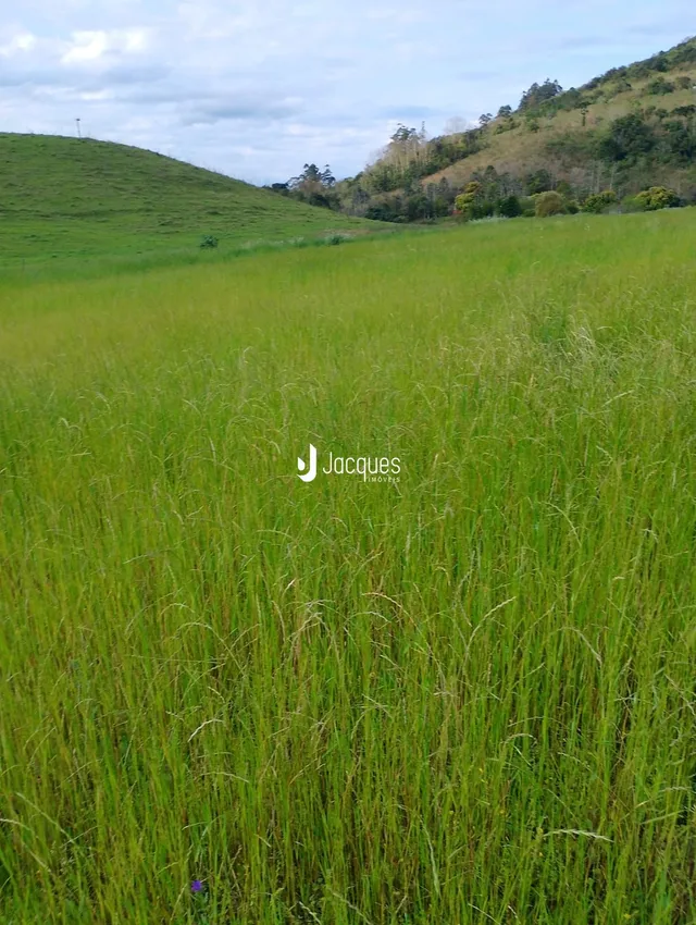 Área rural, foto 2
