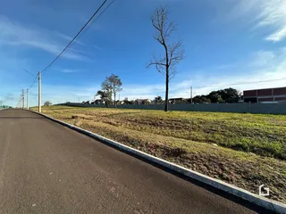 Vista da rua e área gramada com cerca de tela.