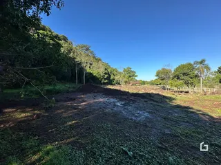 Paisagem de uma área de terra com vegetação densa e cerca no fundo.