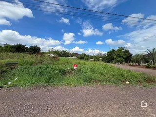Vista externa de terreno com vegetação alta ao longo de uma estrada.