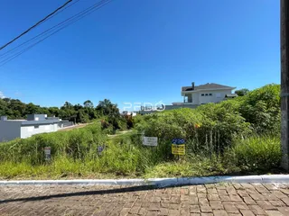 Vista externa de uma propriedade com vegetação densa e um edifício branco ao fundo.