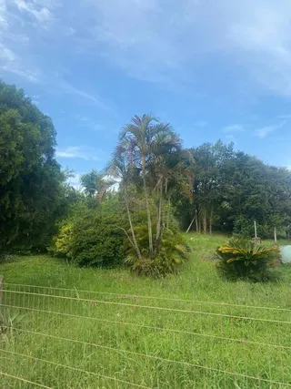 Área rural