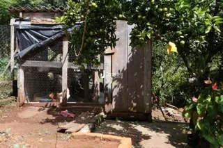 Casa com 2 dormitórios, foto 6
