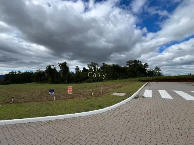 Terreno, foto 2
