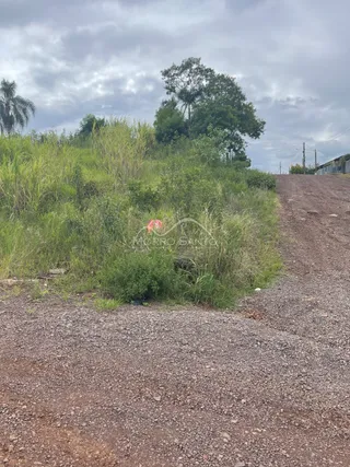 Terreno, foto 2