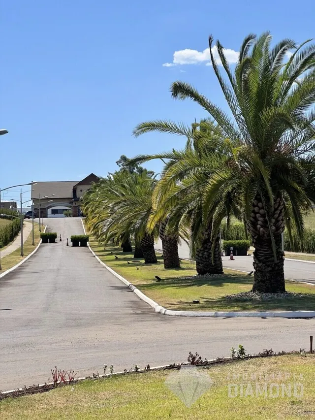 Terreno, foto 4