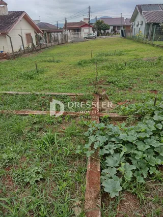 Terreno, foto 12