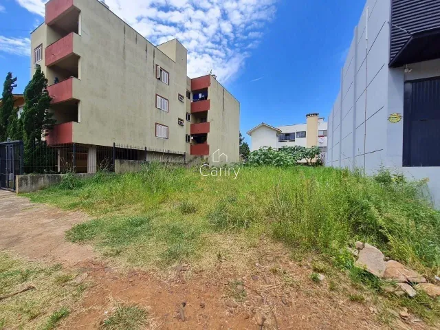 Terreno