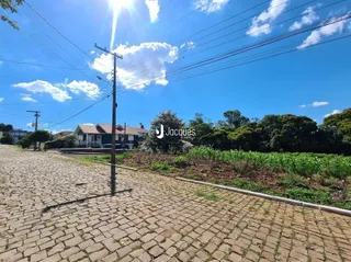 Vista da fachada de uma rua pavimentada com vegetação ao fundo.
