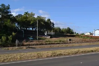 Paisagem de terra e vegetação ao lado de uma estrada.