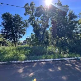 Vista externa com vegetação densa e luz solar intensa.